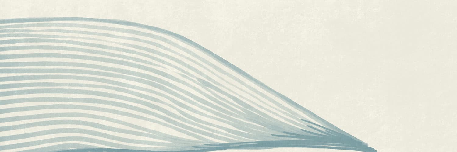 Pantone - Cloud Dancer  Pastel Palette