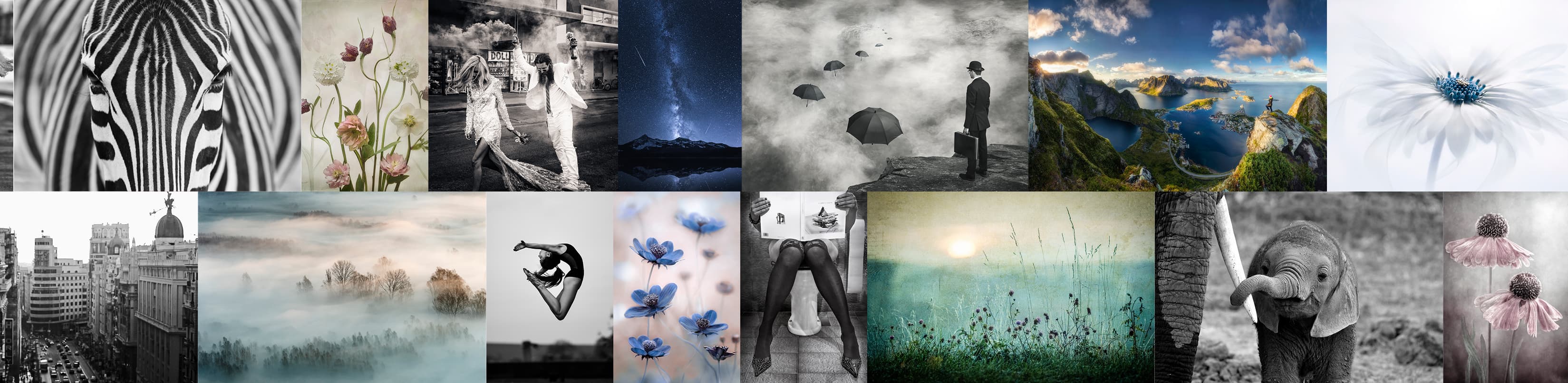 Bestselling Photography 25-26