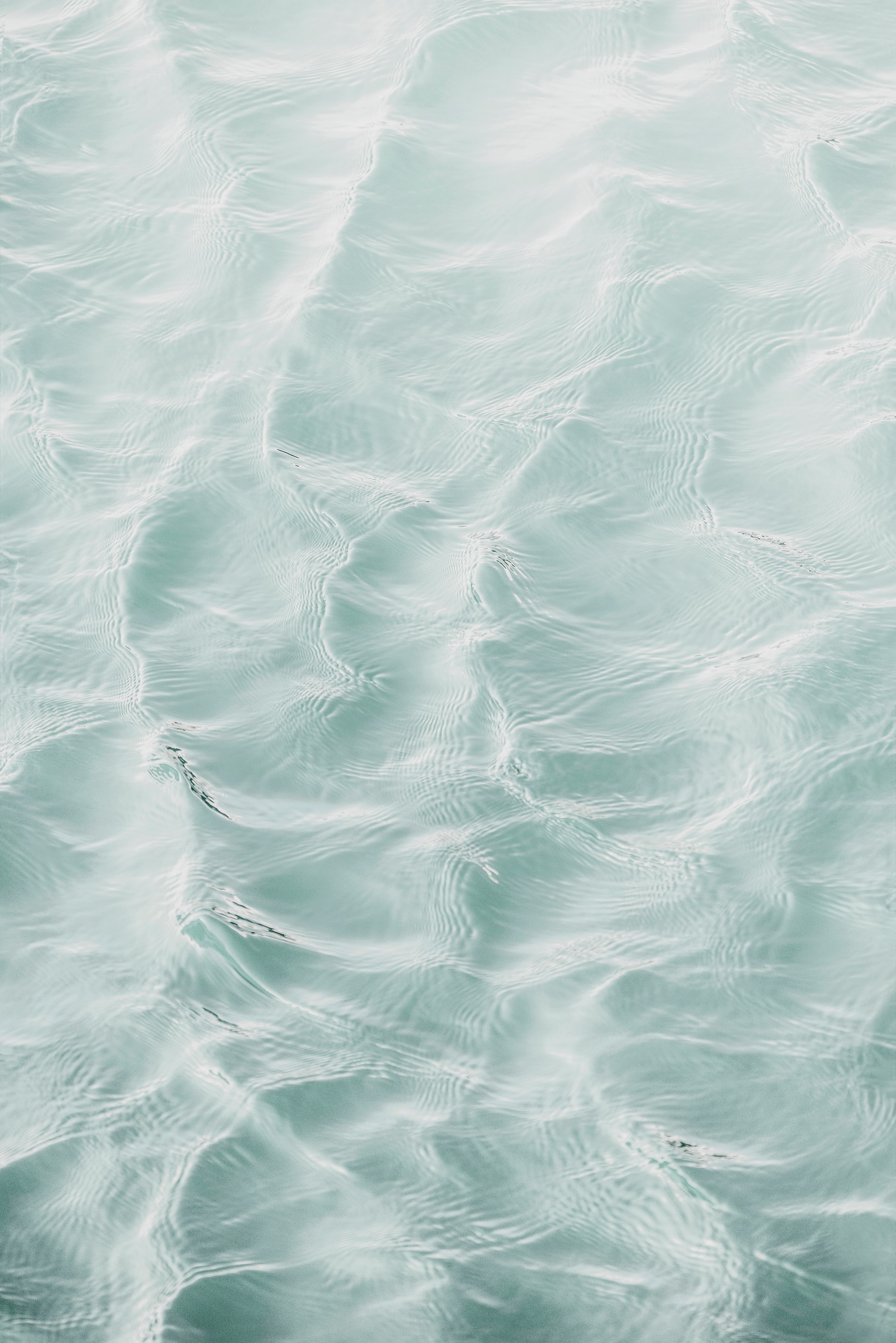 Minty Breeze