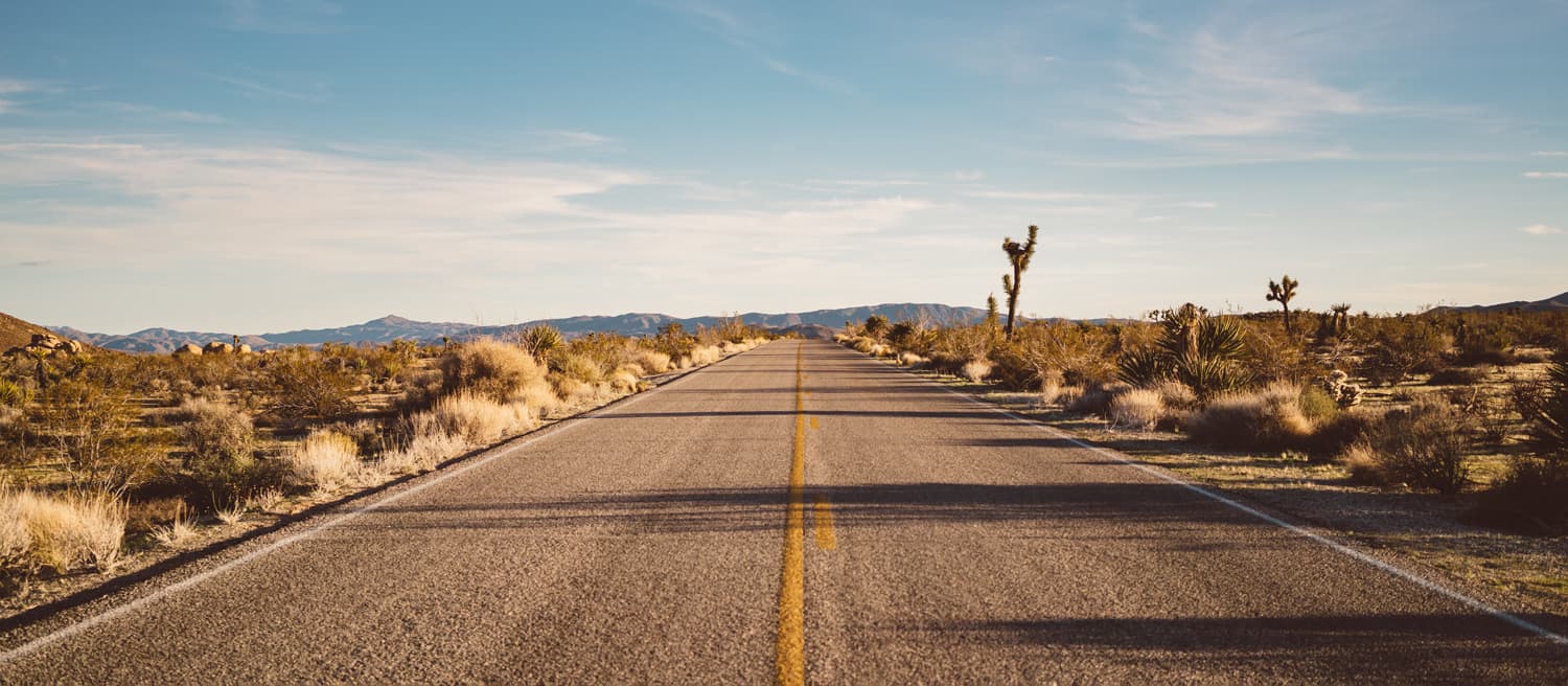 Modern Western &amp; Americana