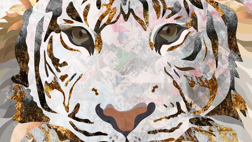 Animals Illustrated