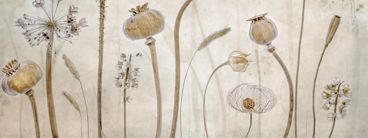 Wall Mural Bestsellers