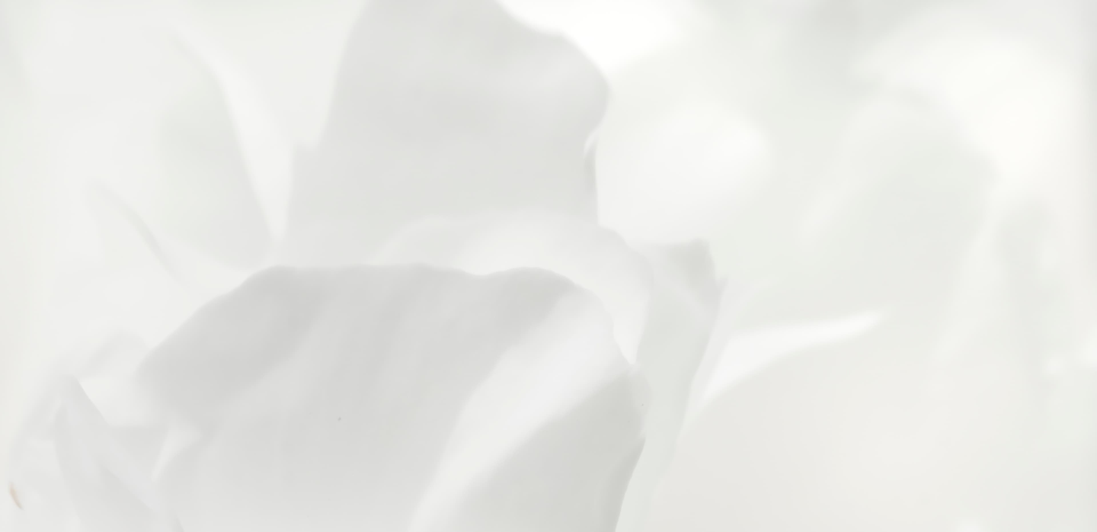 Pantone Color of the Year 2026: Cloud Dancer