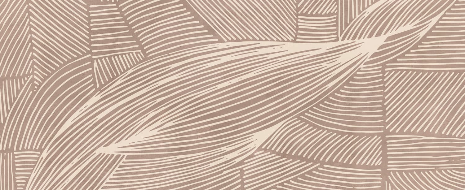 Doodles &amp; Linework