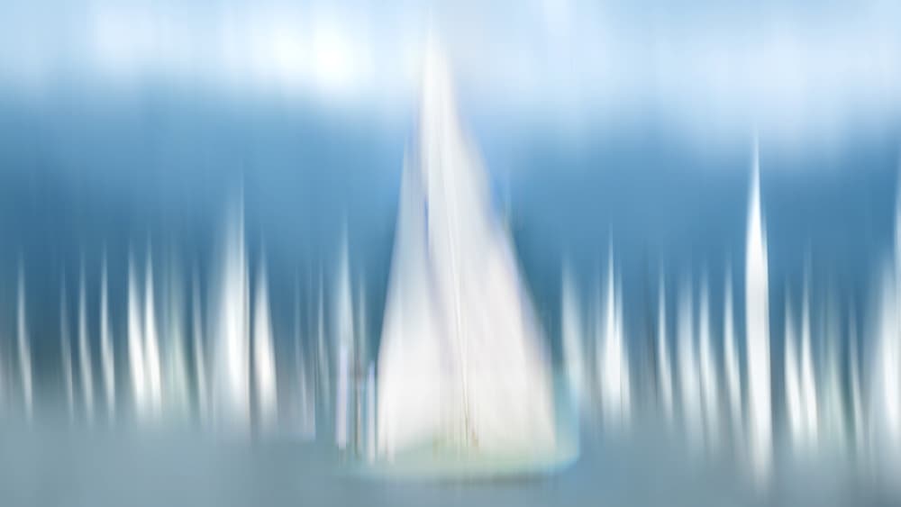 Yachts & Sails