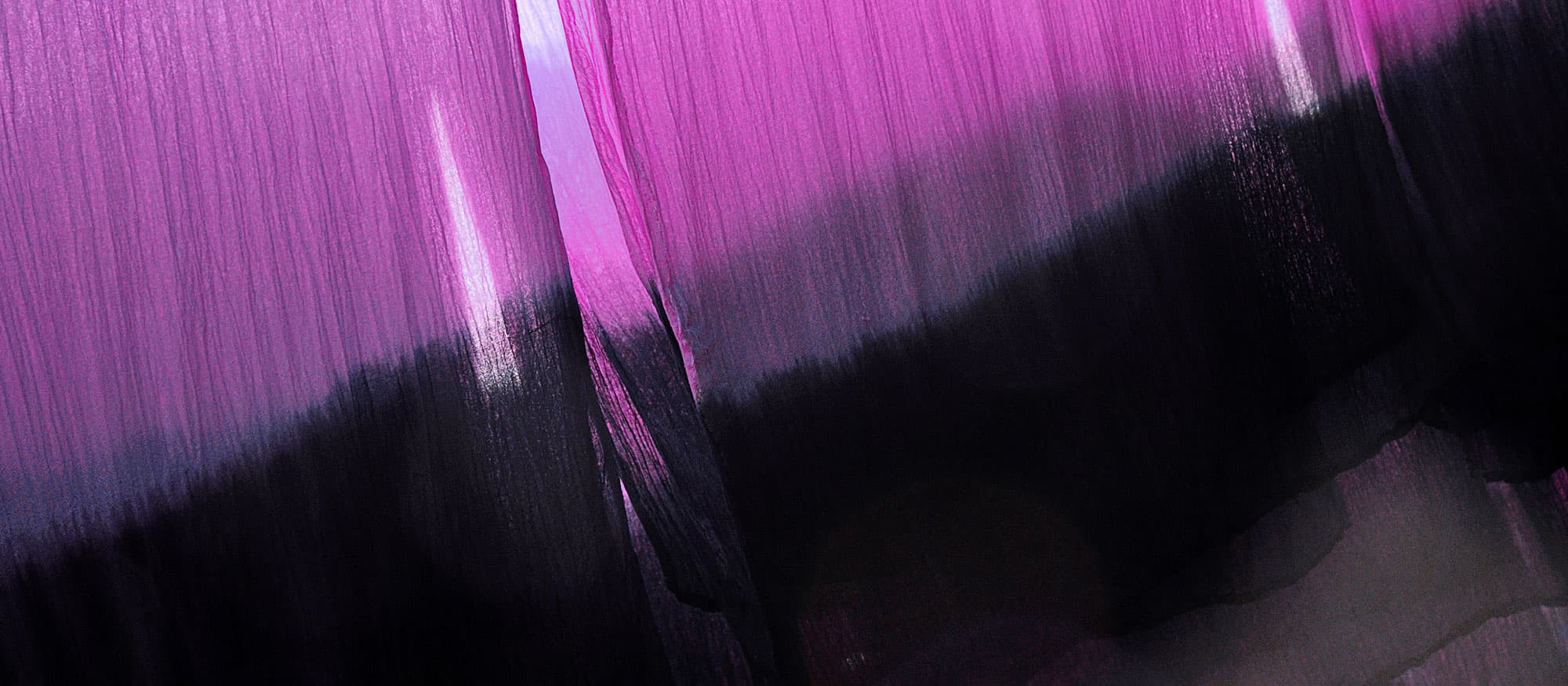 Violet & Purple