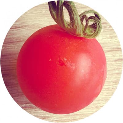pomodorosa