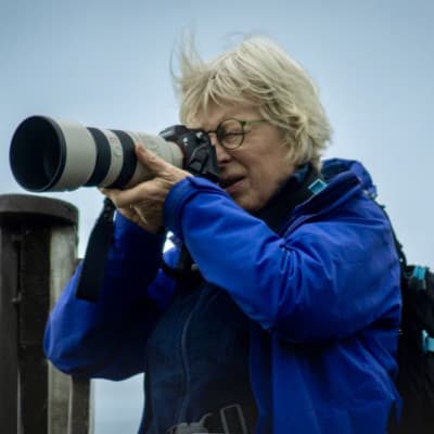 Ineke Mighorst