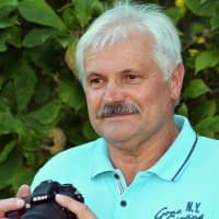 Bojan Kolman