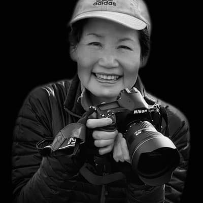 Lisa D. Tang