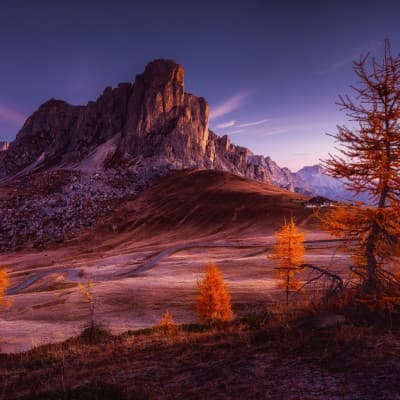 TomaszOryszczakPhotography