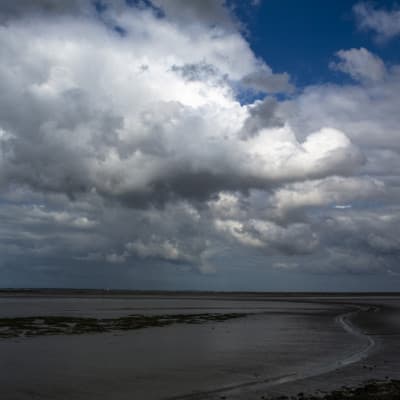 Liesbeth van der Werf