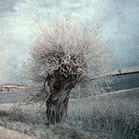 Przemyslaw Kruk