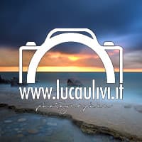 Luca Ulivi