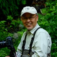 Takafumi Yamashita