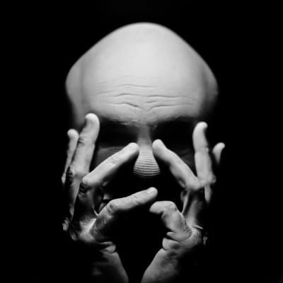 Steve Hermann