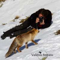 Valerio Ferraro