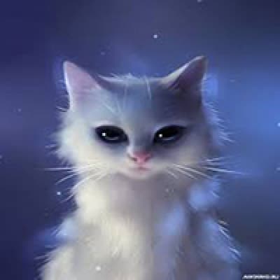 HIM