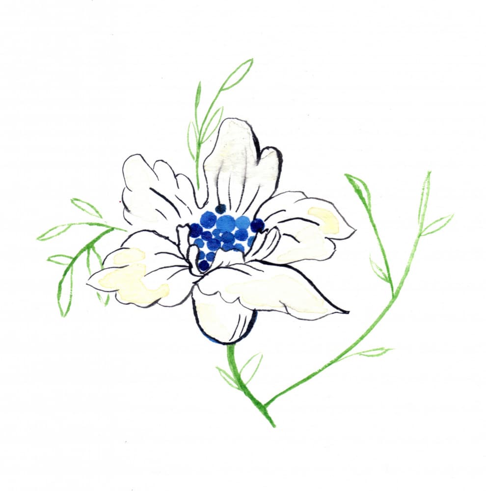 Watercolor White Flower by Christine Lindstrom — canvas wall art