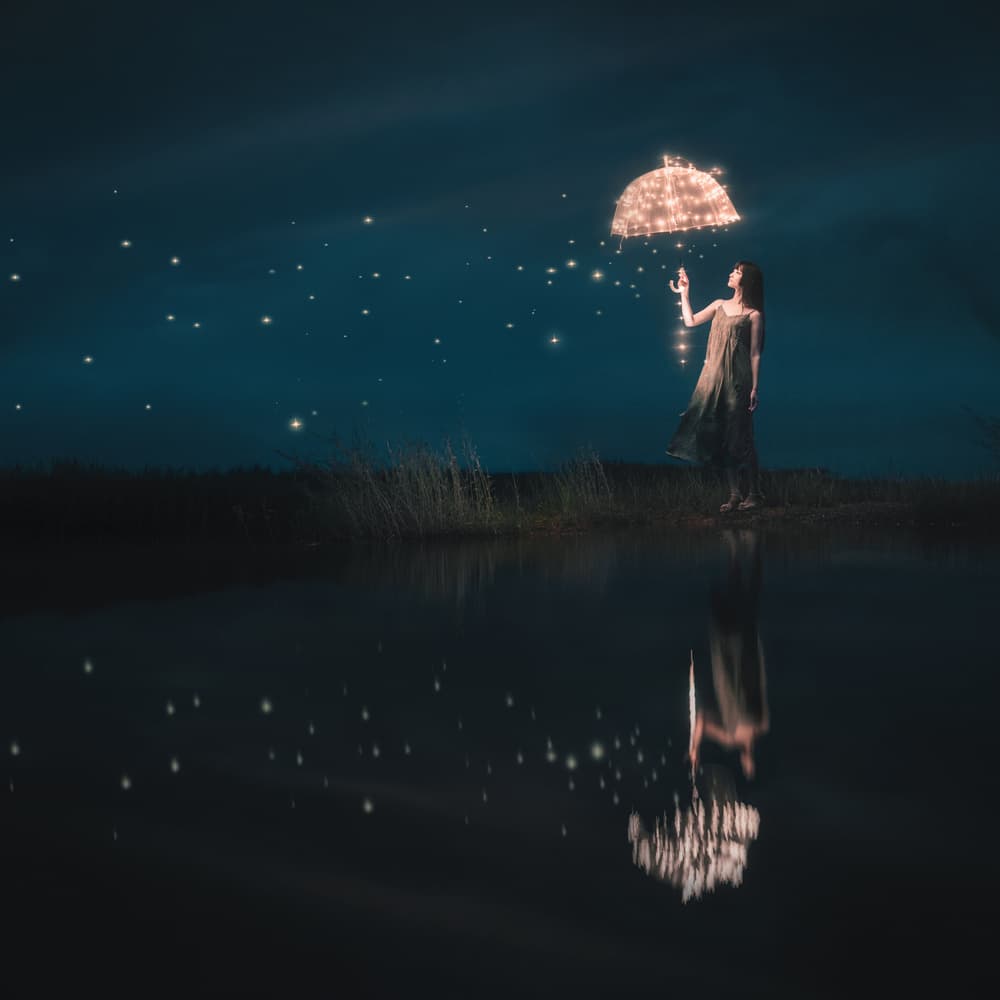 Magical Night Umbrella by Terry F — canvas wall art