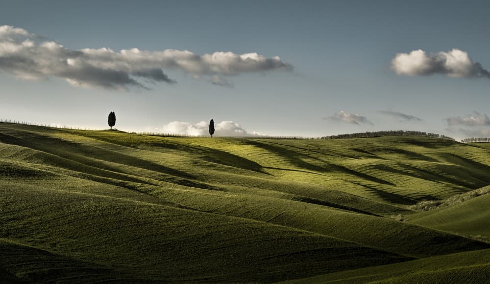Rolling Green Hills Sunlight by Fernando Piçarra — canvas wall art