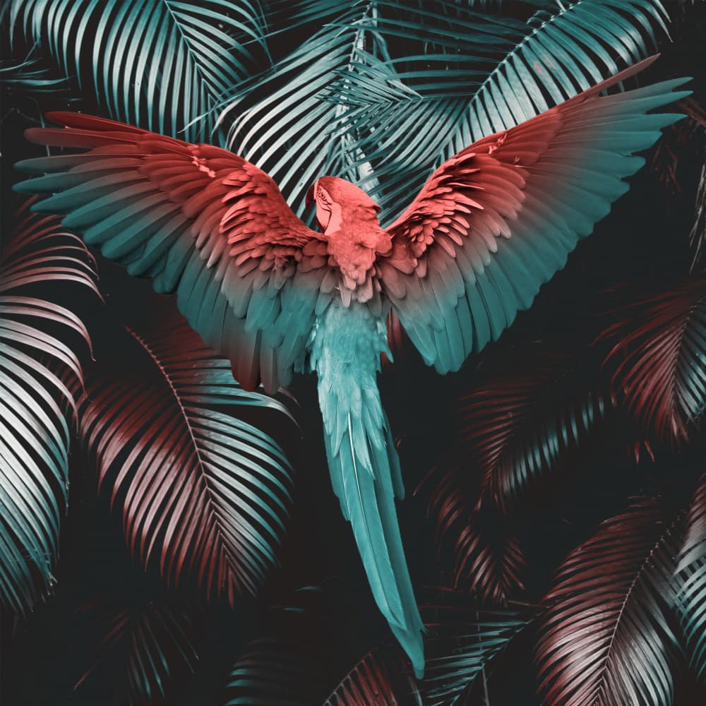 Vibrant Tropical Parrot by Paste in Place — canvas wall art