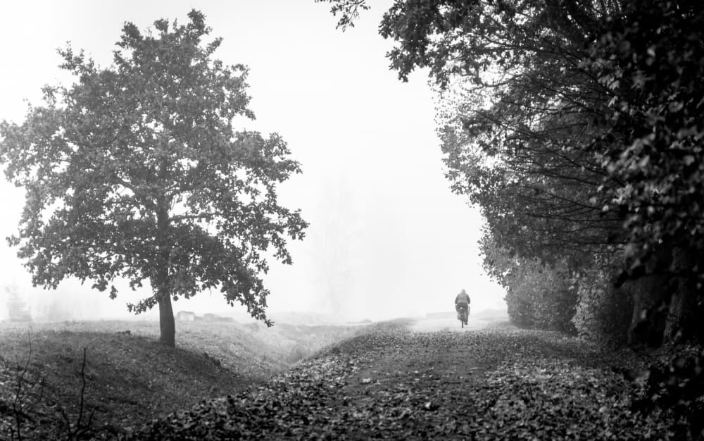 Misty Path Cyclist by Ilze Ozola — canvas wall art