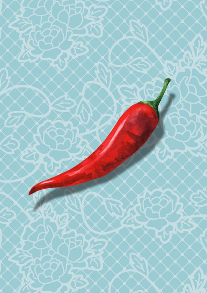 Spicy Red Chili Lace by Marianne Bassil — canvas wall art