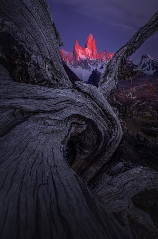 Red Peaks Fitz Roy by Damon Hao — canvas wall art