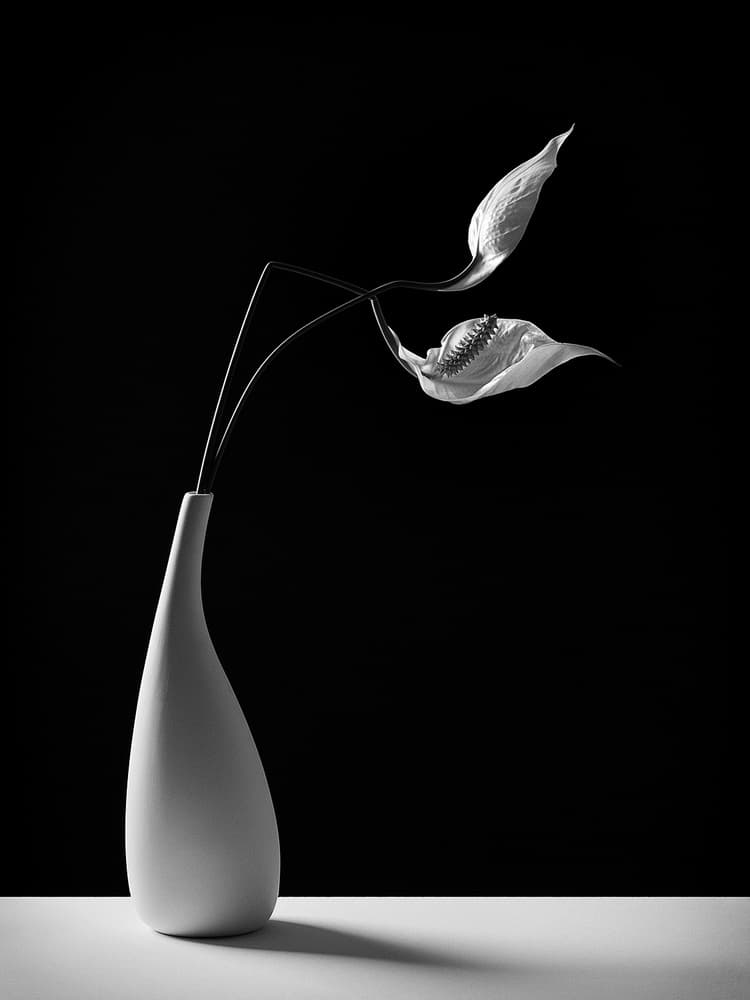 Graceful Peace Lilies Vase by Kristina Oveckova — canvas wall art