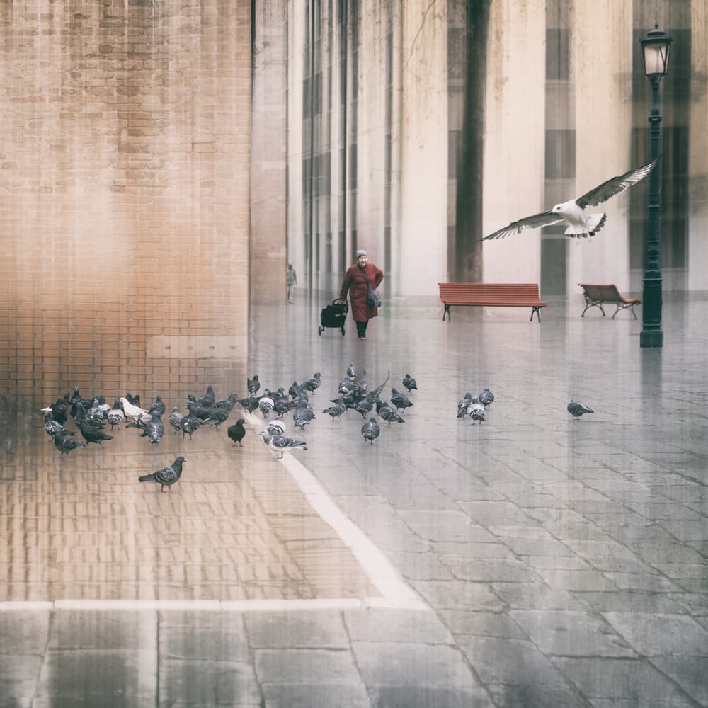 Rainy City Street Walk by Roswitha Schleicher-Schwarz — canvas wall art