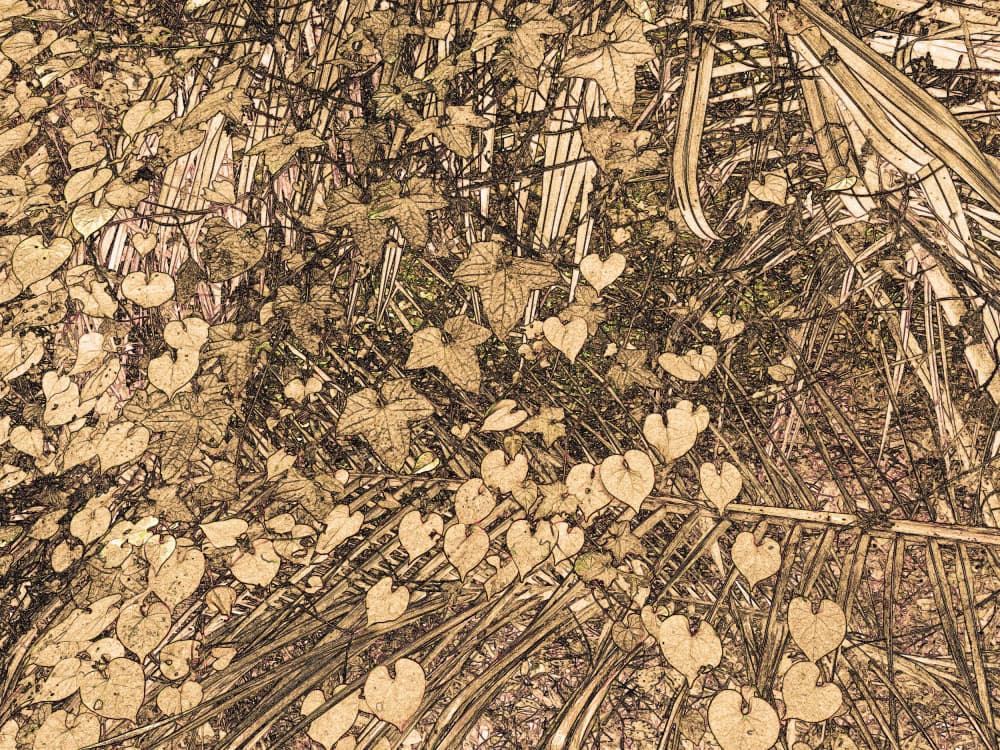 Tangled Heart Vines by Santhosh ch — canvas wall art
