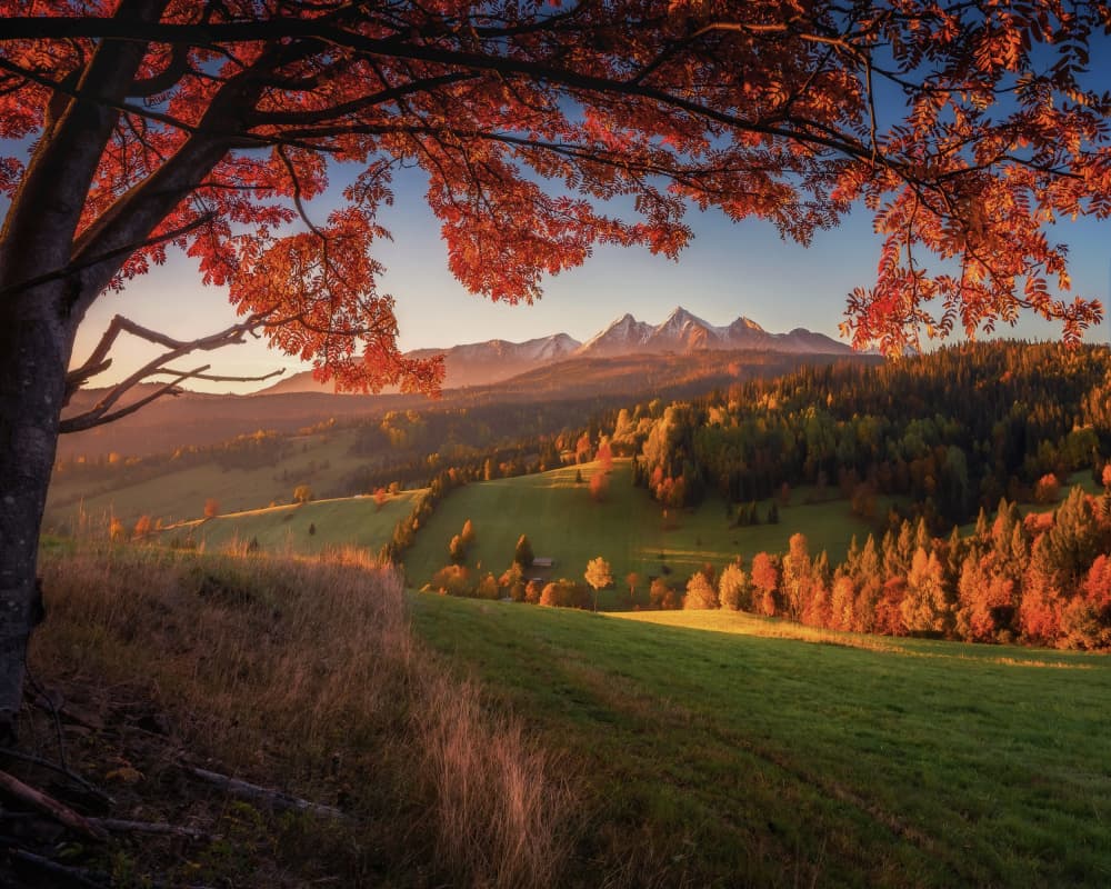 Vibrant Autumn Mountain View by TomaszOryszczakPhotography — canvas wall art