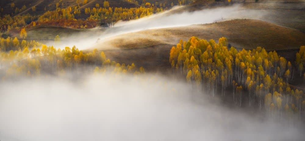 Golden Autumn Mist by Stefan Hogea — canvas wall art