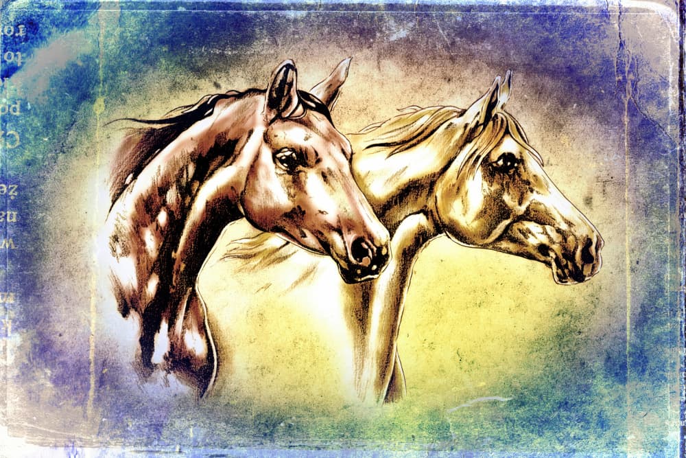 Vintage Horse Drawing by Rafal Kulik — canvas wall art