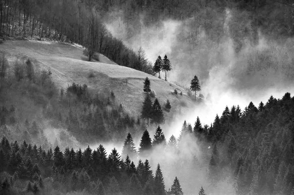 Misty Mountain Forest by Jure Kravanja — canvas wall art