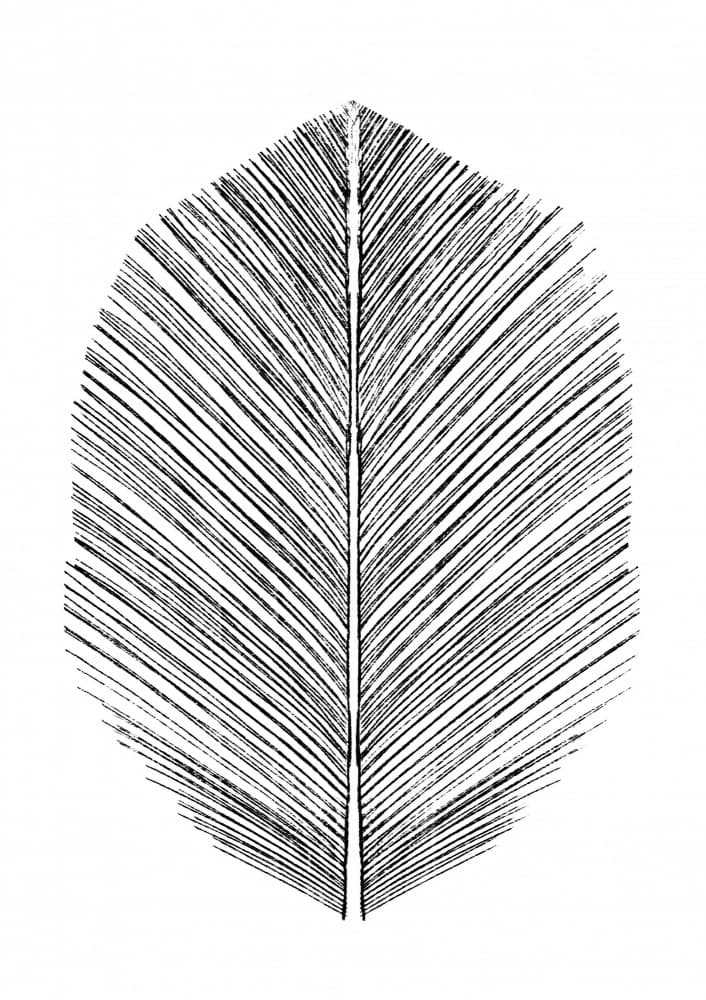 Feather by Dan Hobday — canvas wall art
