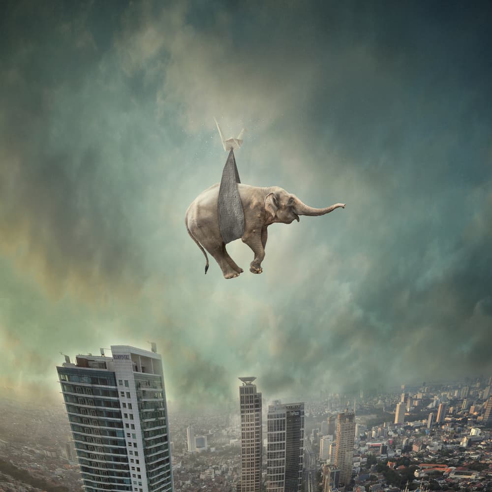 Surreal Flying Elephant by hardibudi — canvas wall art