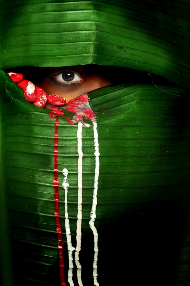 Hidden Gaze in Green by Adithya Zen — canvas wall art