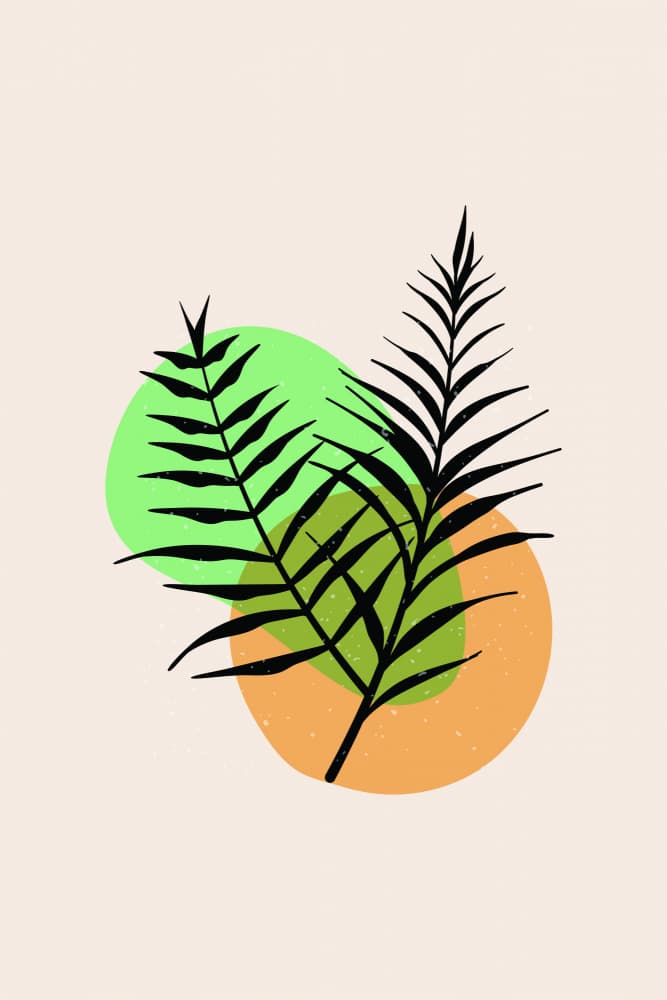 Tropical Leaf Silhouettes by jay stanley — canvas wall art