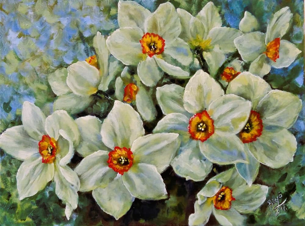 Daffodils In Bloom by Anda Bieza — canvas wall art