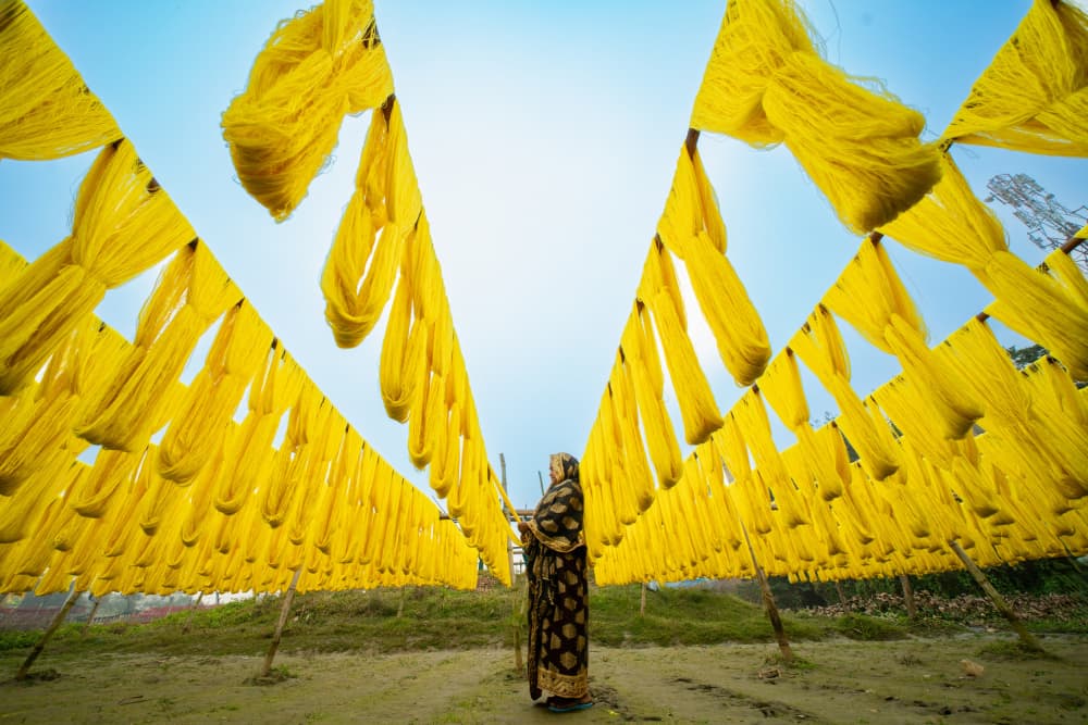 Woman Amidst Yellow Fabric by Azim Khan Ronnie — canvas wall art