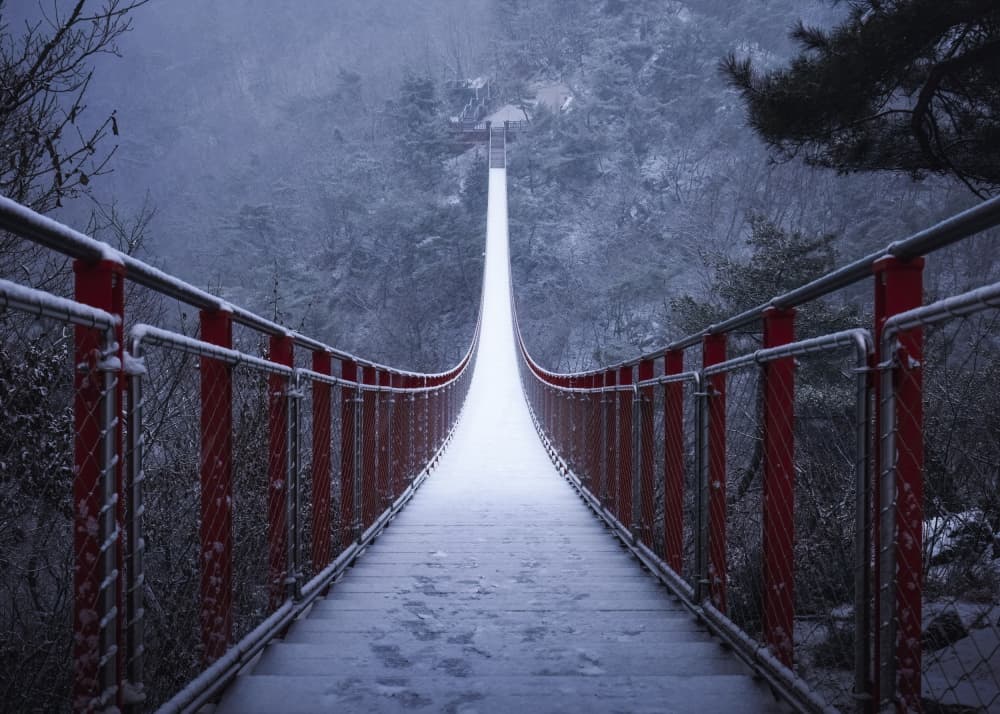 Red Bridge Winter Path by Tiger Seo — canvas wall art