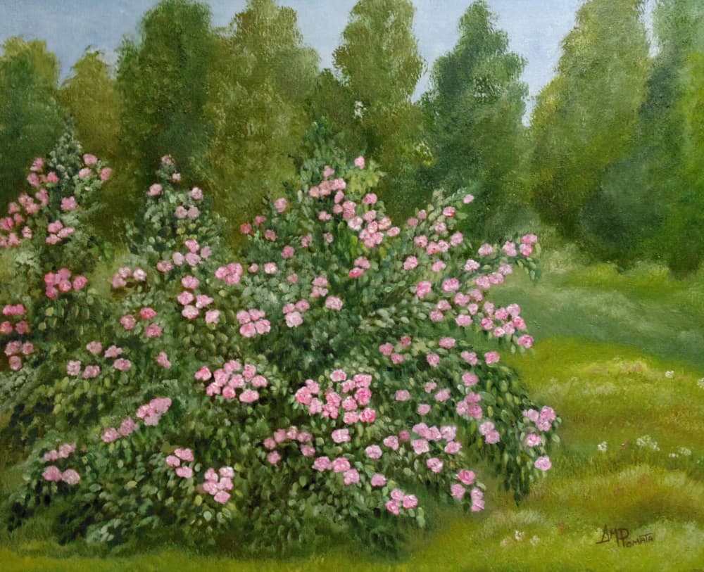Peaceful Rose Garden by Angeles M. Pomata — canvas wall art