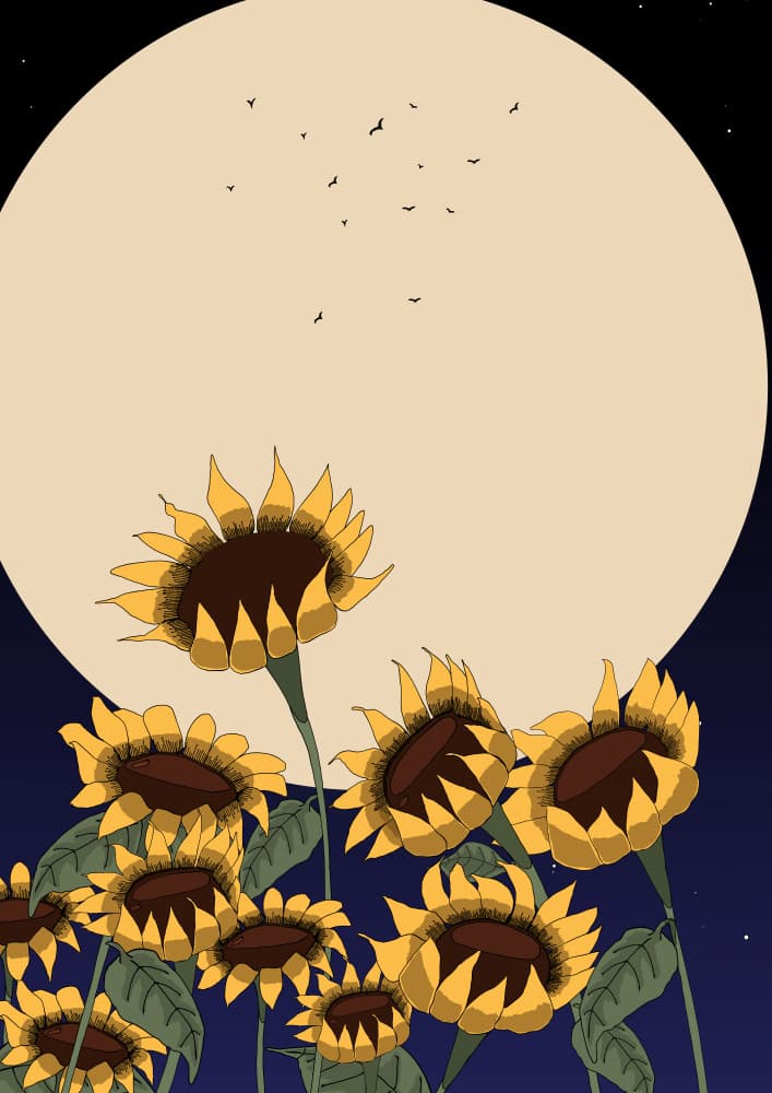 Moonlit Sunflowers Field by Nicholas — canvas wall art