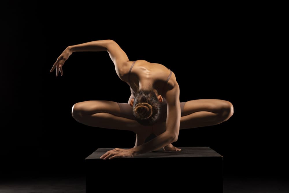 Graceful Dance Pose by Lisdiyanto Suhardjo — canvas wall art