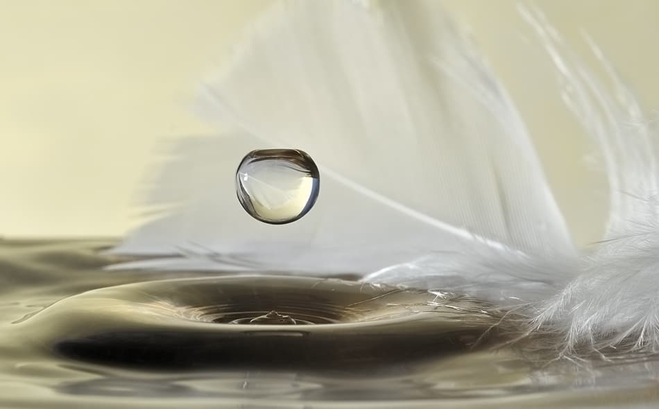 Serene Water Feather