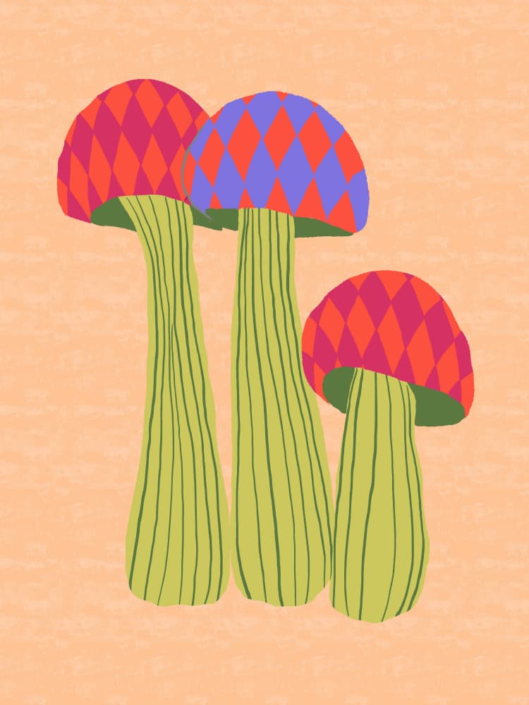 Whimsical Patterned Mushrooms by Aliya Putrus — canvas wall art