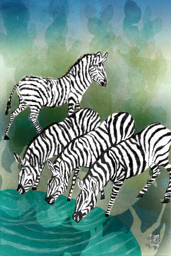 Zebras At The Watering Hole by Osvaldo Russo — canvas wall art