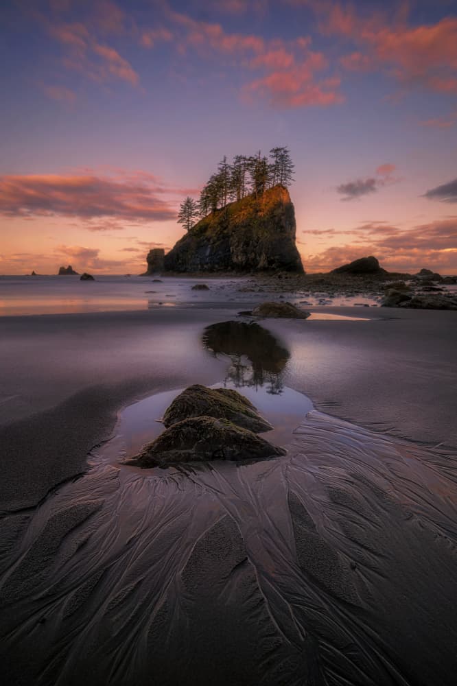 Golden Sea Stack Sunset by Lydia Jacobs — canvas wall art